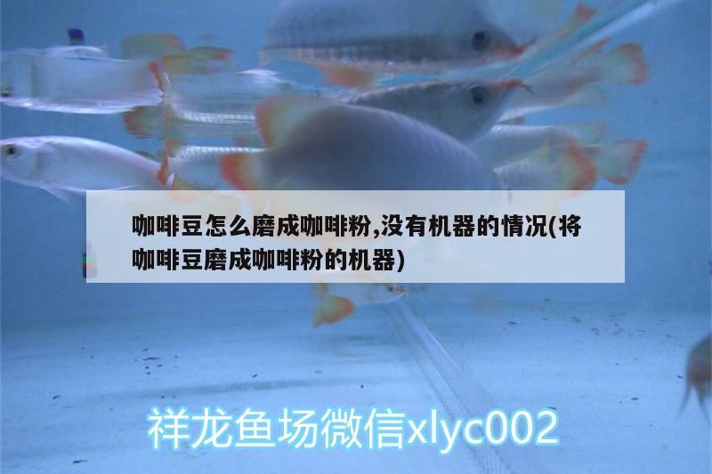 無機器時咖啡豆咋磨粉？
