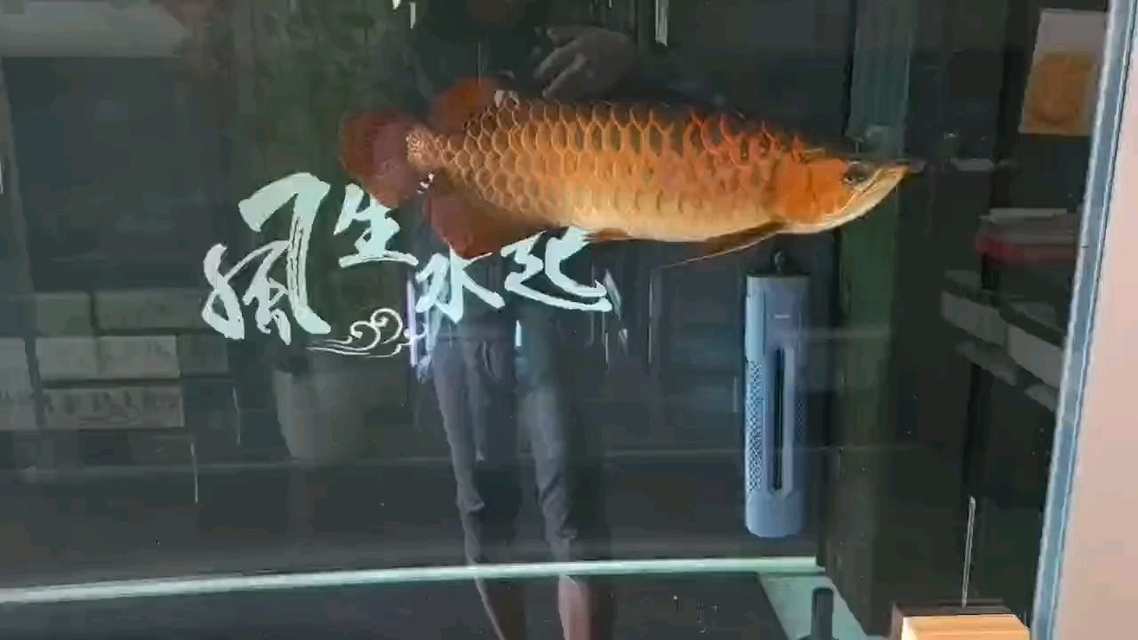 自然光，光影交織中的天然饋贈與藝術靈感源泉