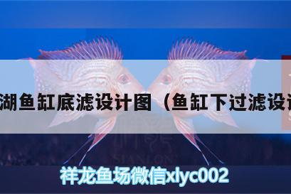 湖魚缸底濾設(shè)計(jì)圖，詳解魚缸下過濾系統(tǒng)科學(xué)布局 湖魚缸底濾設(shè)計(jì)圖，詳解魚缸下過濾系統(tǒng)科學(xué)布局 仟湖