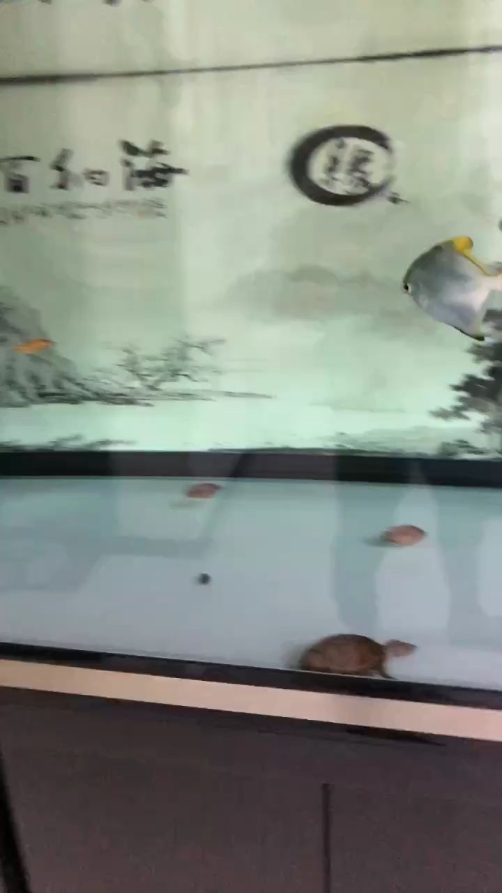 每日簽到，積跬步以至千里，啟新程之序章 每日簽到，積跬步以至千里，啟新程之序章 龍魚論壇