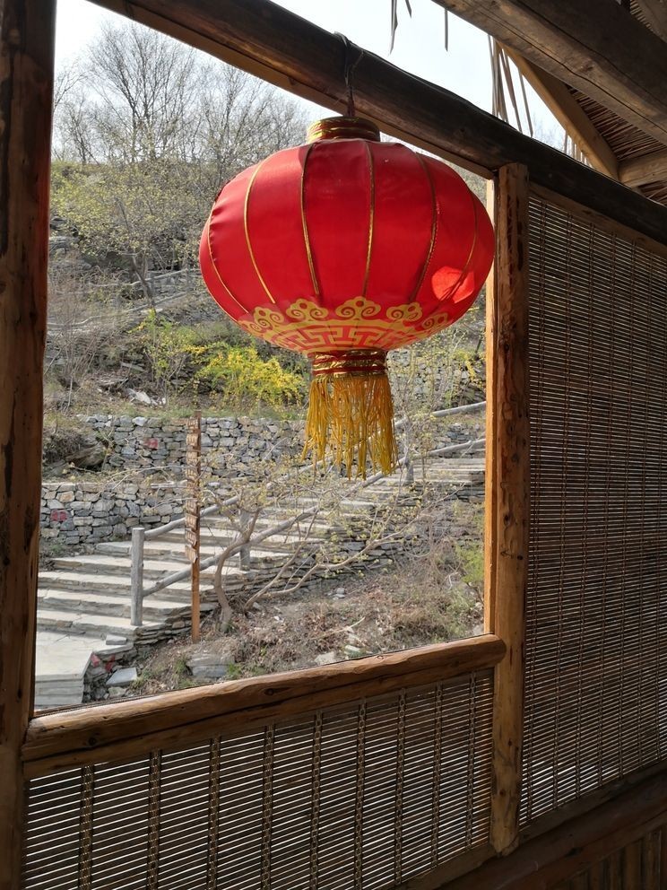 堅持愛好,于喧囂塵世中尋得心靈凈土與自我 龍魚論壇 第2張 堅持愛好,于喧囂塵世中尋得心靈凈土與自我 堅持愛好,于喧囂塵世中尋得心靈凈土與自我 龍魚論壇 第2張