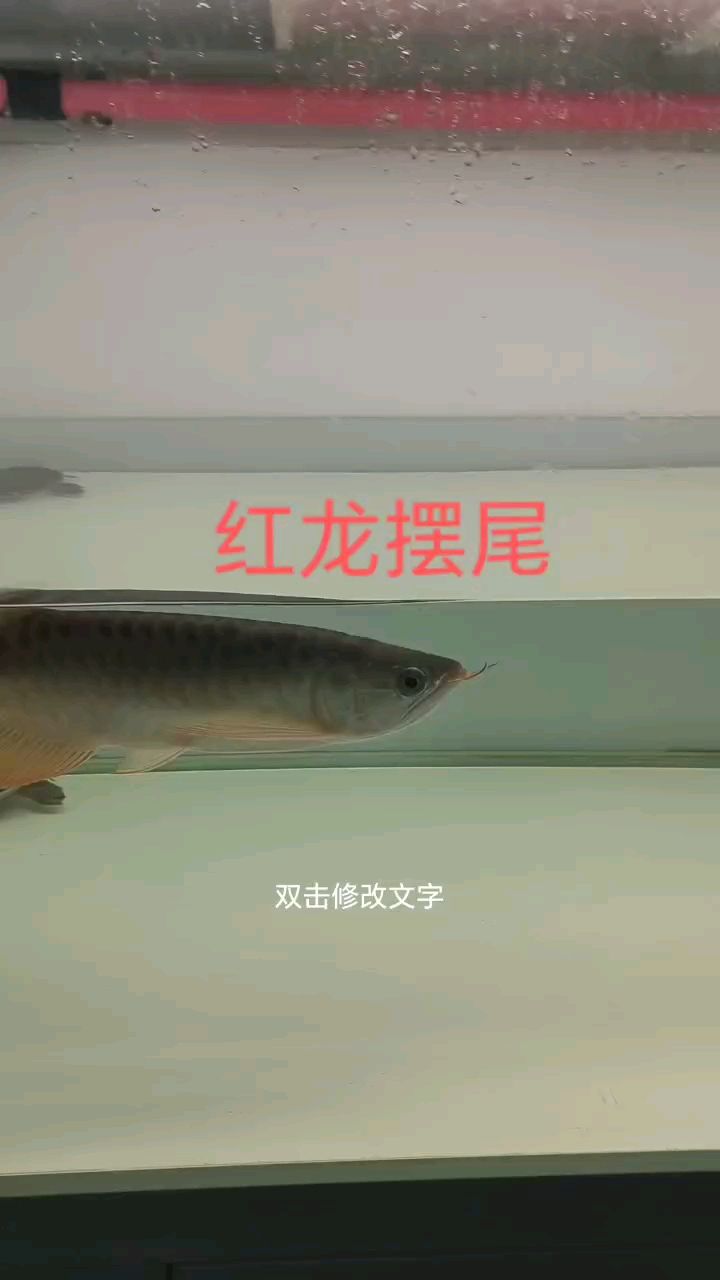 你未提供具體的內容呀，我沒辦法準確生成相應長標題呢，你可以把相關內容詳細