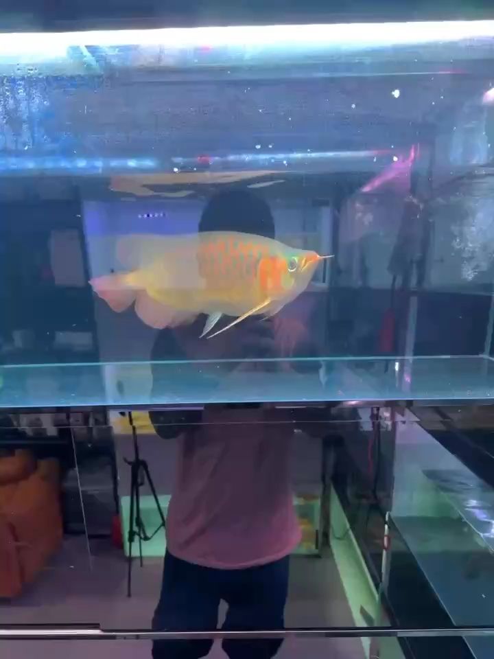 哈哈，探尋背后蘊含的多樣意味與