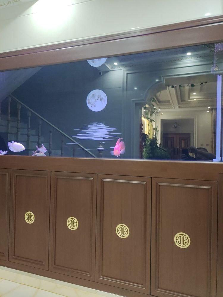 刀小試展鋒芒，初露頭角顯身手，于