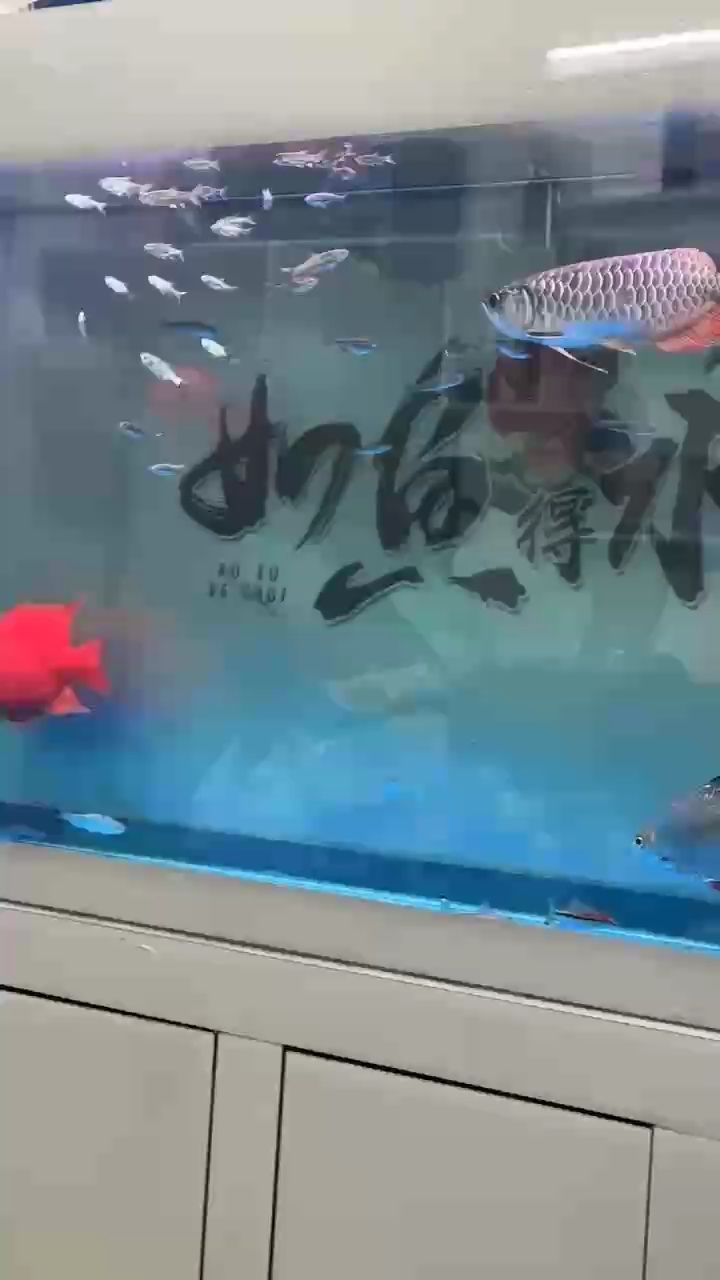 餐已備好，歸家無懼，家的溫暖與美食的雙重召喚