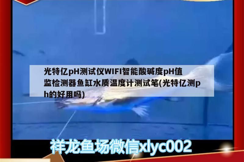 特億pH測試儀評測，wifi智能酸堿度檢測，魚缸水溫