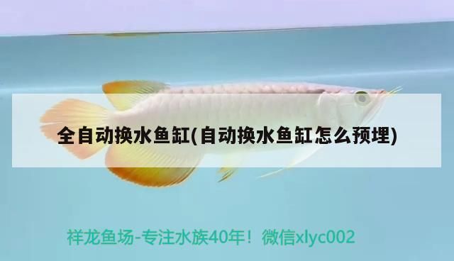 孟吉爾至萬吉，巨型炮彈的驚人威力與神秘面紗