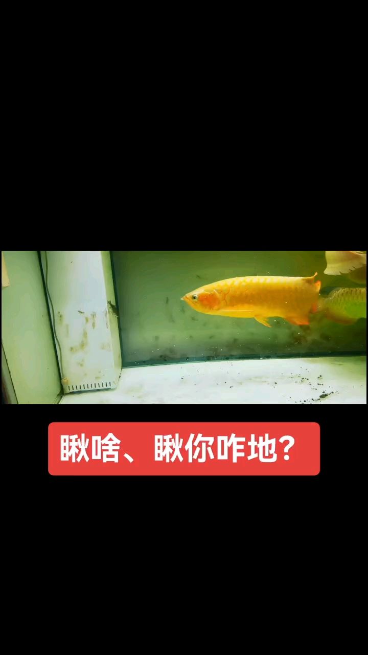 你瞅啥背后，那些因對視引發的趣事、沖突與人情百態