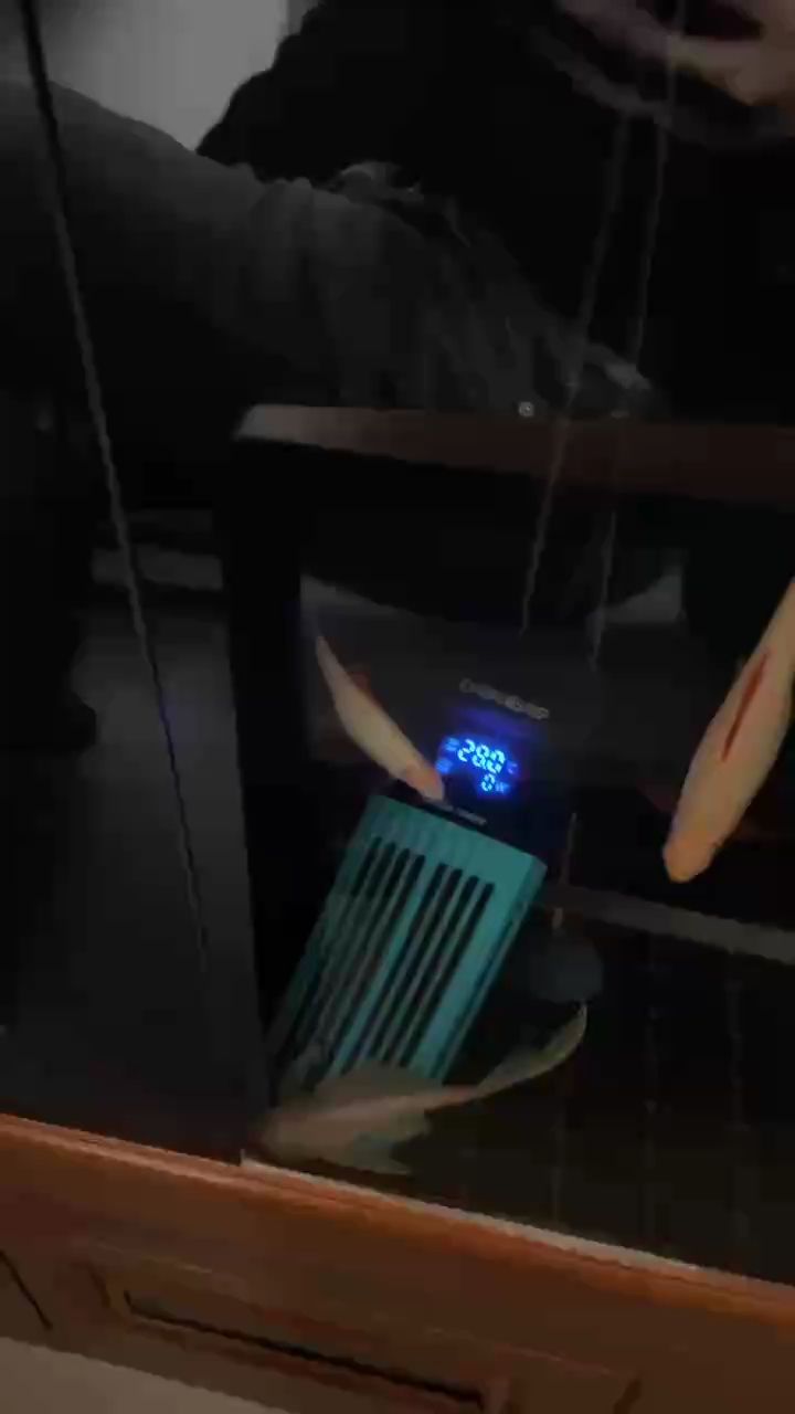 一條忘記自己屬性的