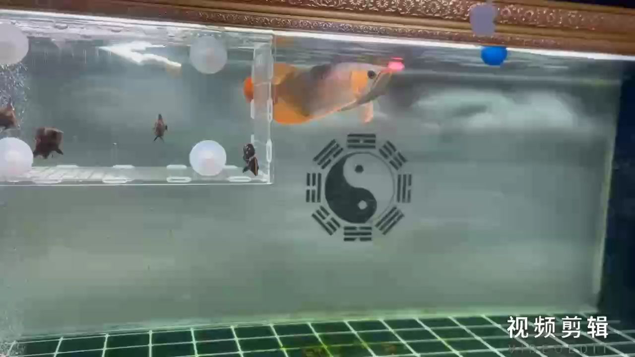 每日簽到，點滴積累，見證堅持的力量