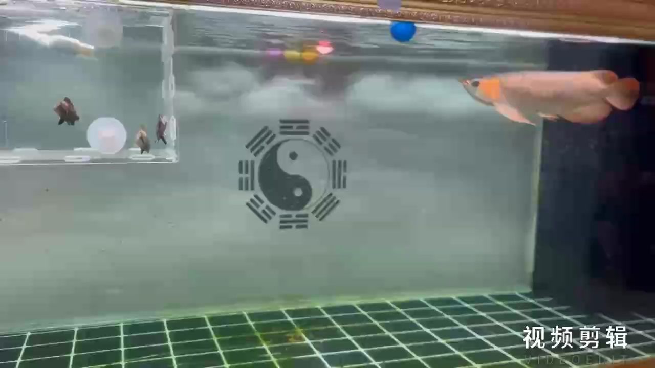 每日打卡，記錄生活點滴，見證自律成長的堅持之旅