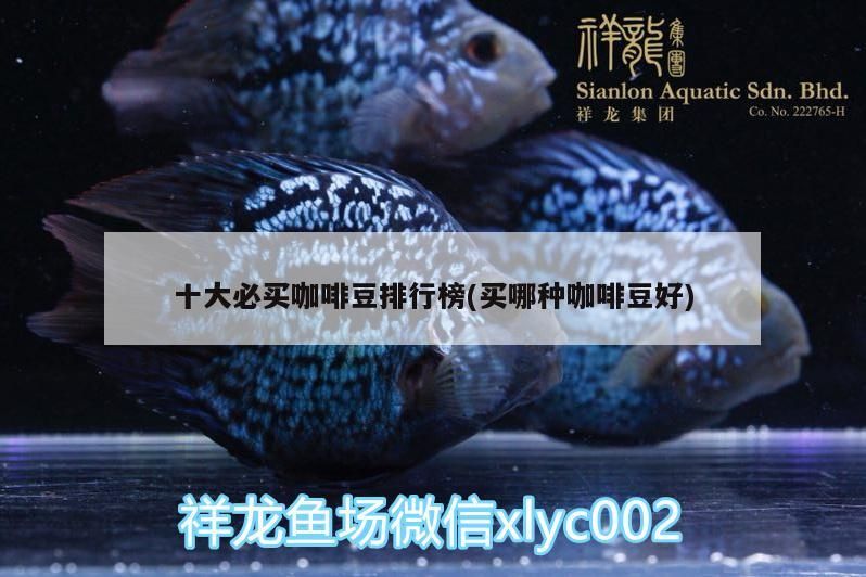 必買咖啡豆排行榜出爐，助你輕松挑選心儀好豆(買哪種咖啡豆