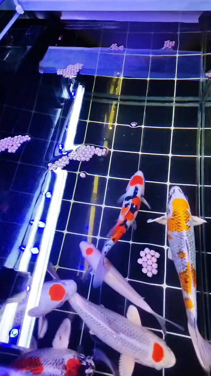 日常打卡，記錄生活點滴，見證自我成長與堅持的足跡