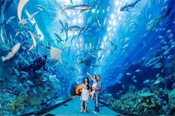 一家水族館需投資多少？