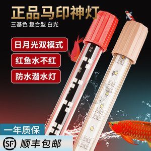 印神燈plus，專為水族愛好者設(shè)計的專業(yè)照明設(shè)備解析