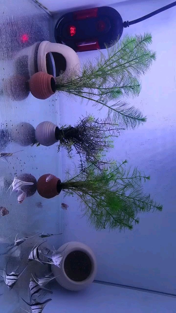 彩剛到家，狀態超棒！