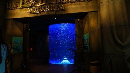 水族館飯店影評，奇幻美食之旅，劇情與