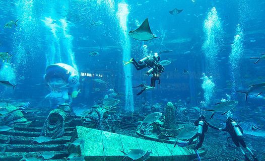 水族館飯店影評，奇幻美食之旅，劇情與