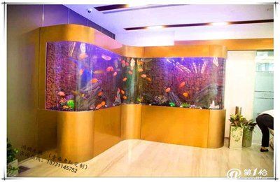魚魚缸制作設計精美圖片欣賞，領略獨特造景與工藝