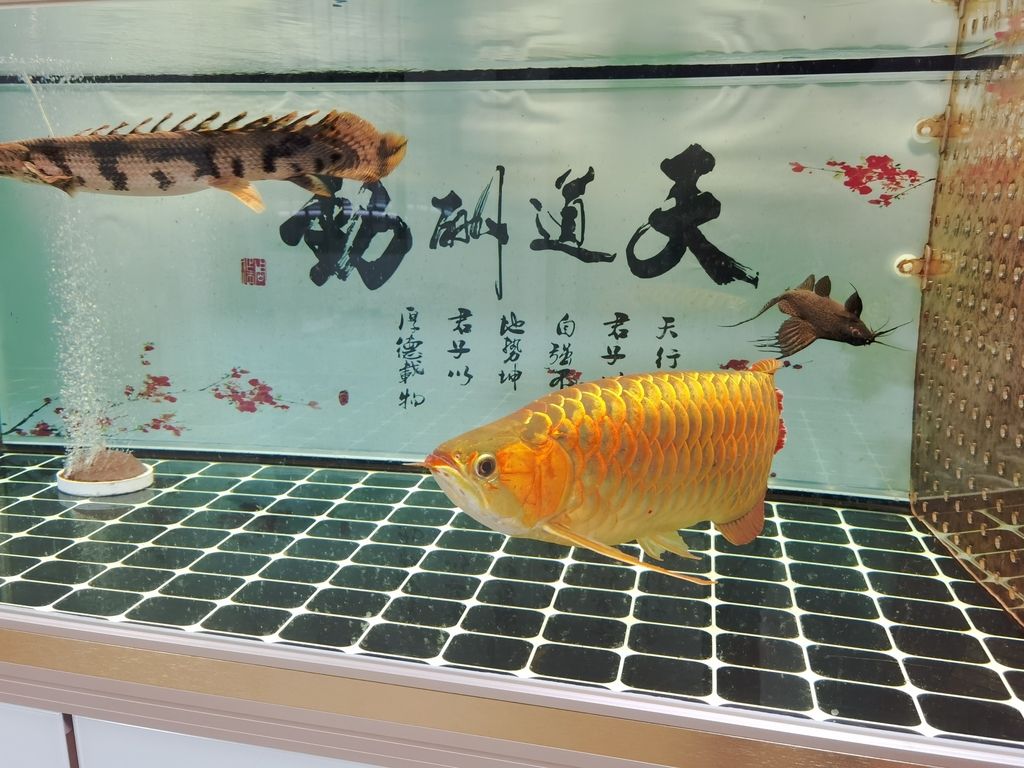 核心主題]，深度剖析、全面解讀及相關(guān)要點(diǎn)匯總