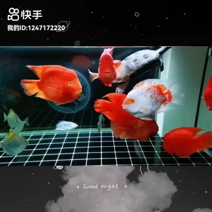愿事事順遂諸事皆安，篤信南無阿彌