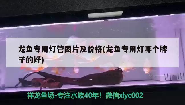 魚專用燈管圖片價格及品牌推薦，哪個牌子好？