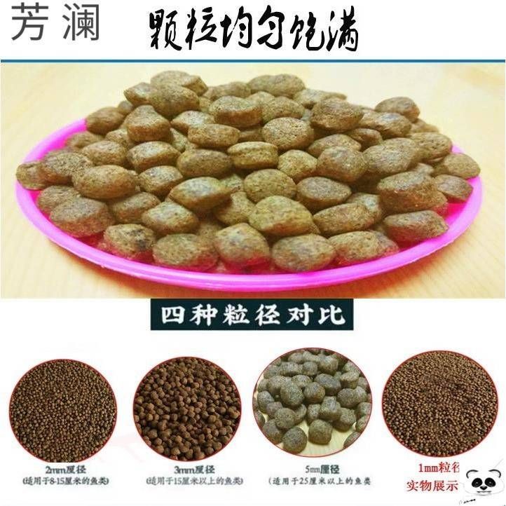 與市售觀賞魚飼料大比拼，釣魚效果及成分差異