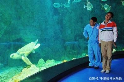 自制水族館，從材料準(zhǔn)備到布置養(yǎng)護(hù)的詳細(xì)攻略