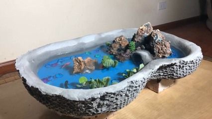 自制水族館,從材料準備到布置養護的詳細攻略 水族館百科(水族館加盟) 第5張 自制水族館,從材料準備到布置養護的詳細攻略 自制水族館,從材料準備到布置養護的詳細攻略 水族館百科(水族館加盟) 第5張