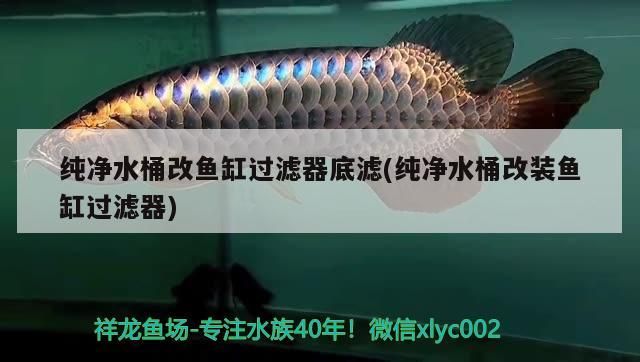 純凈水桶改魚缸過濾器底濾，低成本打造高效循環(huán)系統(tǒng)