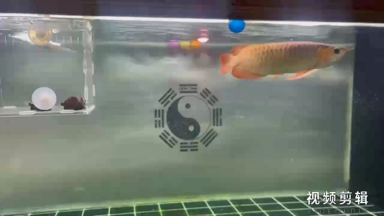 簽到，積累小習(xí)慣，開啟自律生活