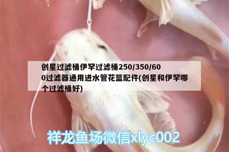 星與伊罕過濾桶對比，250/350/600通用
