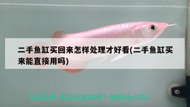 魚缸買回來這樣處理，美觀又實用，能否直接