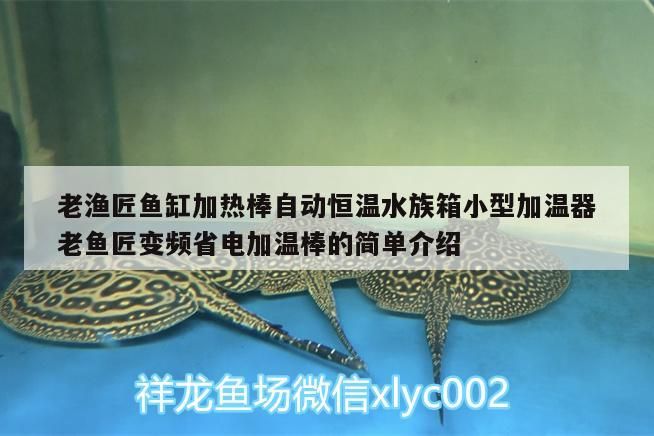漁匠魚缸加熱棒，自動恒溫，變頻省電，小型水