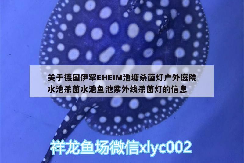伊罕EHEIM池塘殺菌燈，戶外庭院水池魚池