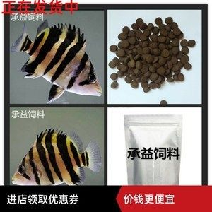 印尼虎魚吃沉底飼料嗎怎么喂養：印尼虎魚可以吃沉底飼料嗎，印尼虎魚吃沉底飼料嗎