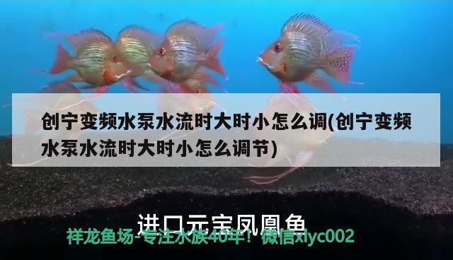 創(chuàng)寧變頻水泵水流時大時小怎么調(diào)(創(chuàng)寧變頻水泵水流時大時小怎么調(diào)節(jié))