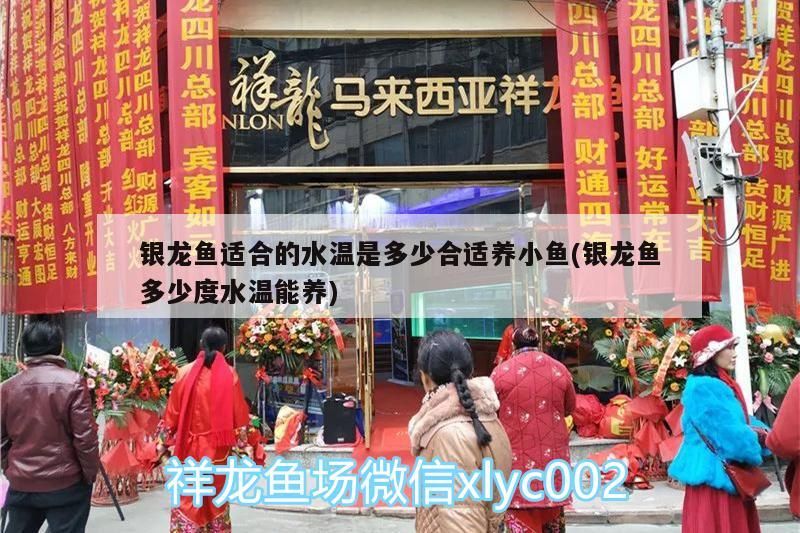 銀龍魚適合的水溫是多少合適養(yǎng)小魚(銀龍魚多少度水溫能養(yǎng))
