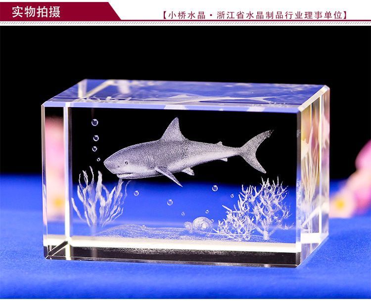 水族館賣什么紀(jì)念品比較好（水族館主題攝影展的購(gòu)買指南）
