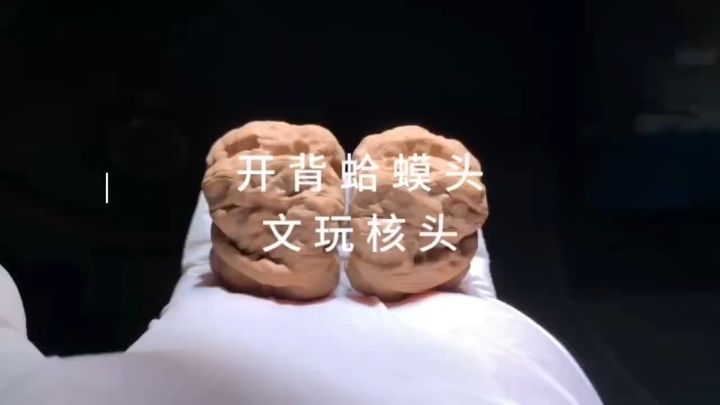 開背蛤蟆頭核桃