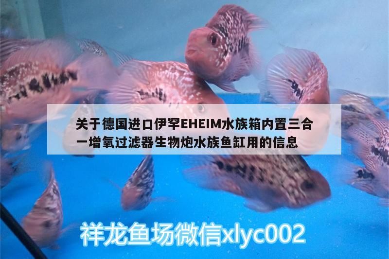 關于德國進口伊罕EHEIM水族箱內置三合一增氧過濾器生物炮水族魚缸用的信息