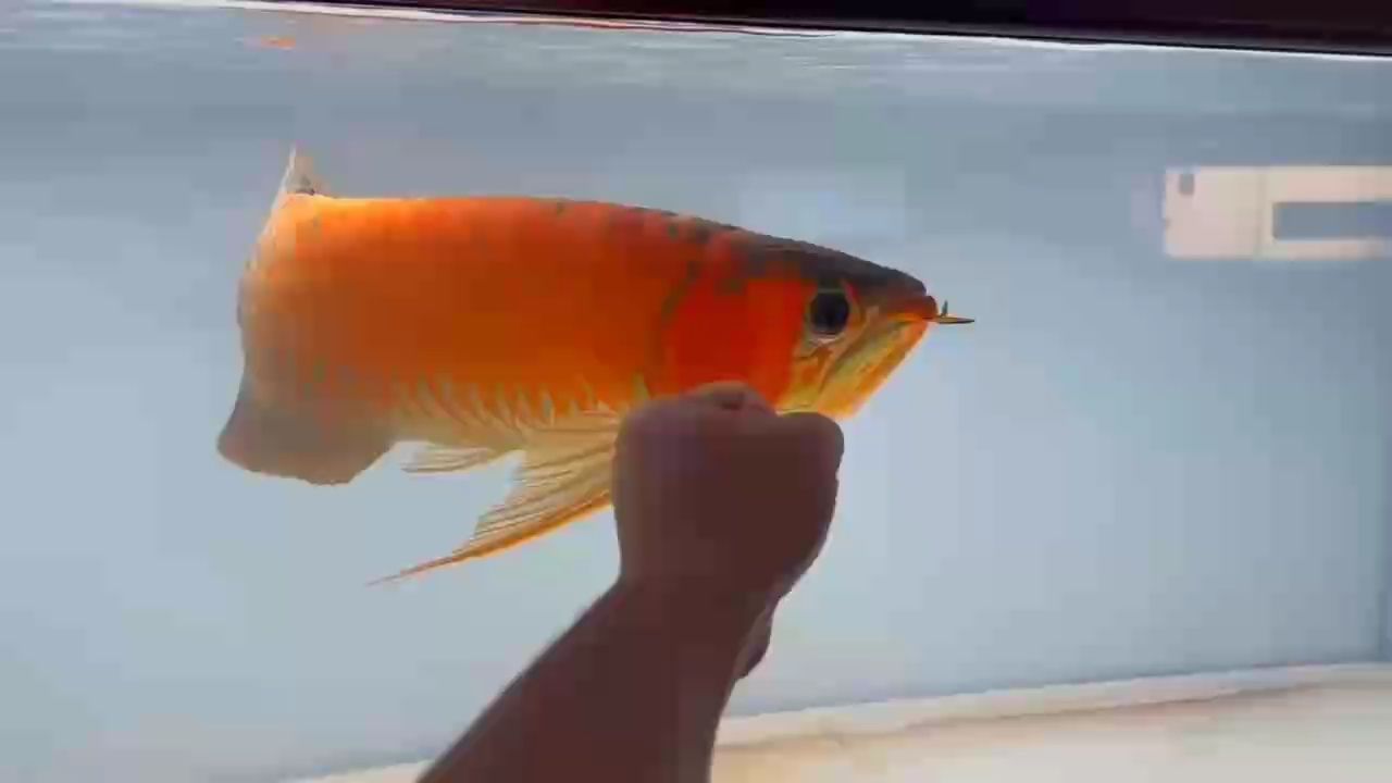 研究一下