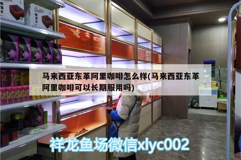 馬來西亞東革阿里咖啡怎么樣(馬來西亞東革阿里咖啡可以長期服用嗎)
