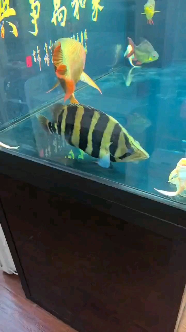 大價錢得朋友