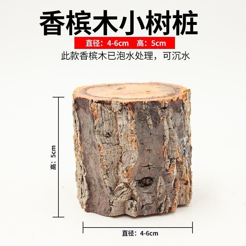 龍魚最近不吃東西怎么辦呢：龍魚最近不吃東西怎么辦？別慌，這幾招幫你搞定！