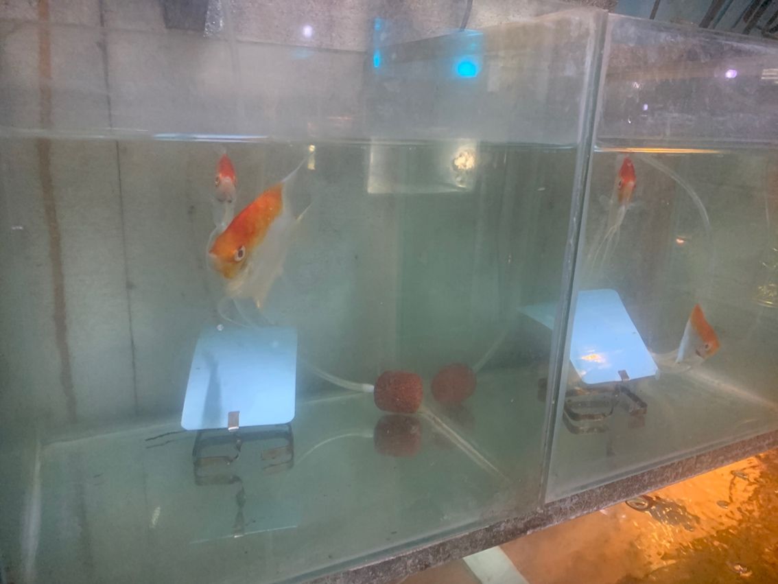 批發 批發??