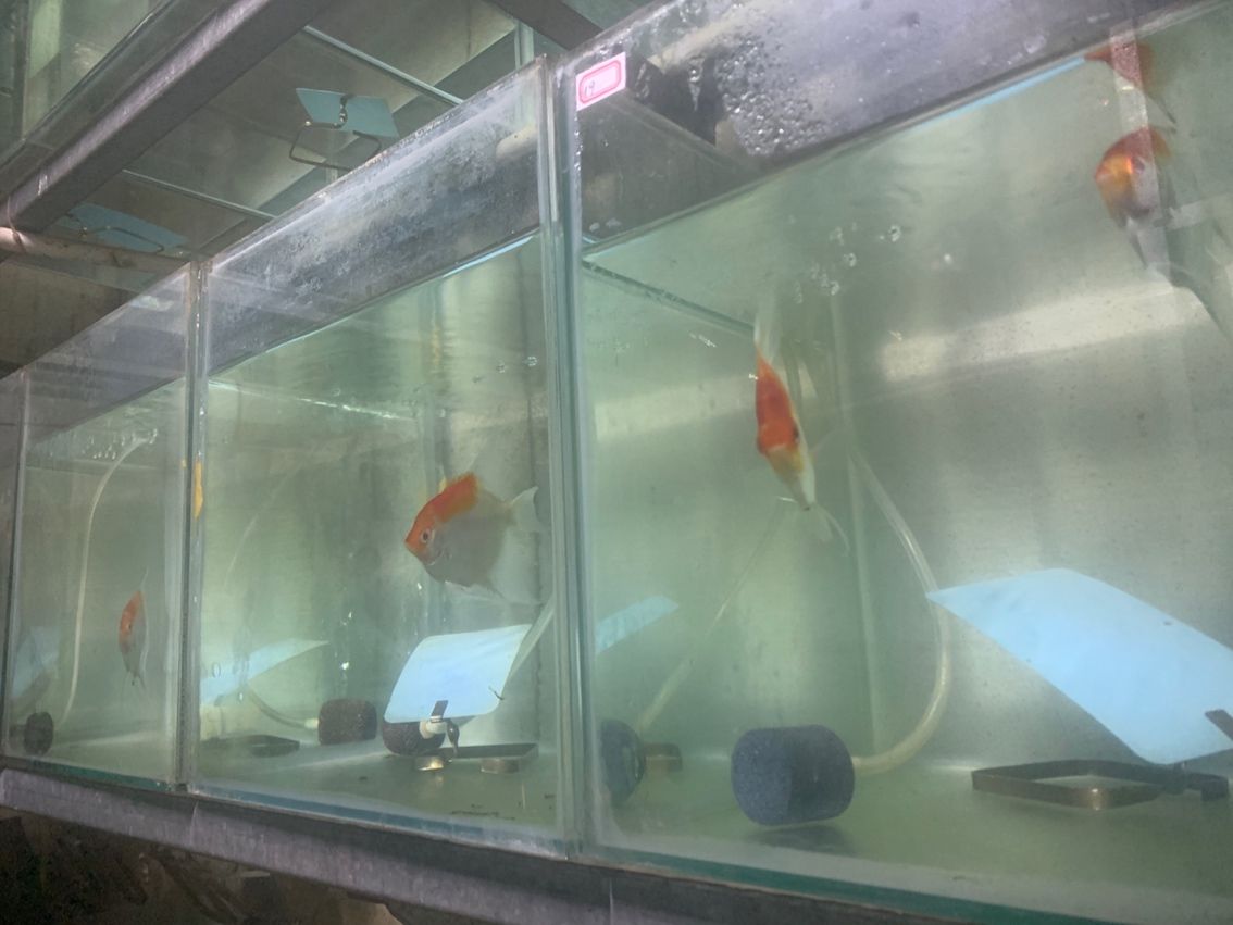 批發 批發??
