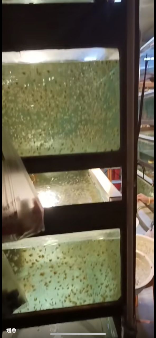 批發 批發??