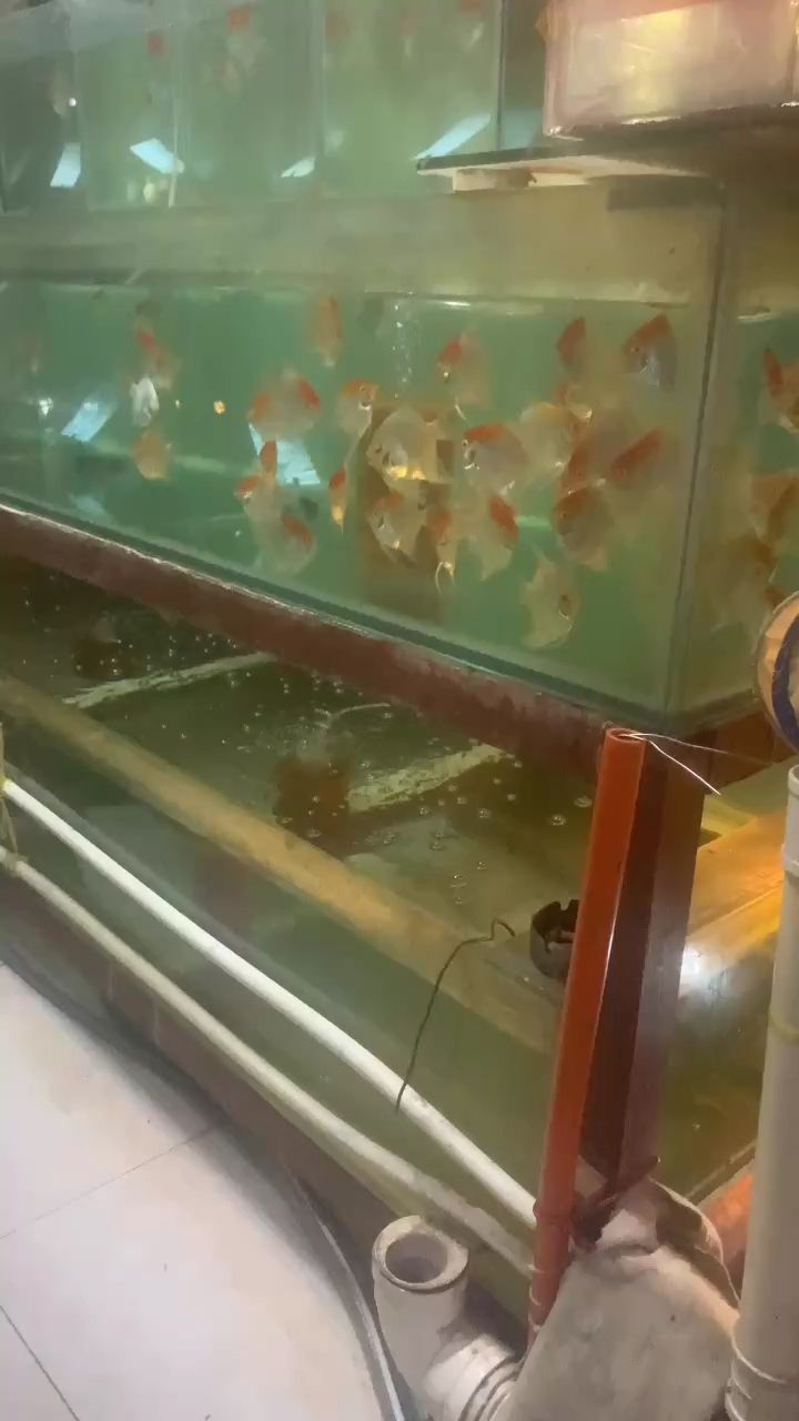 批發 批發，喜歡的來聊聊