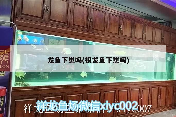 光特億
